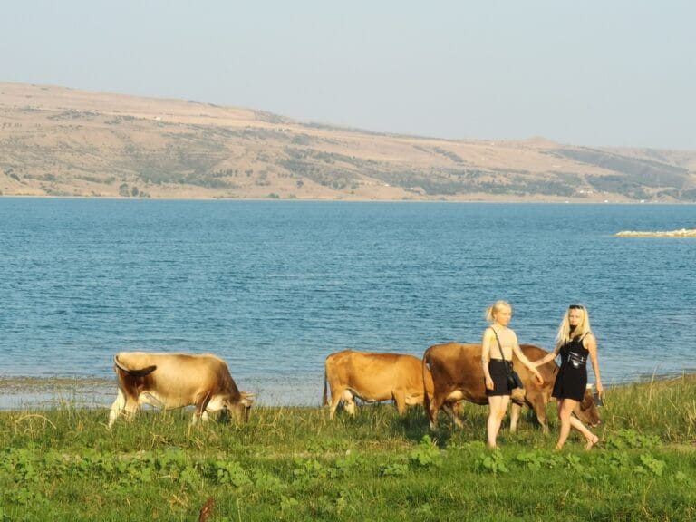 Gruzja – łatwy trekking, rafting i przejazdy jeepem
